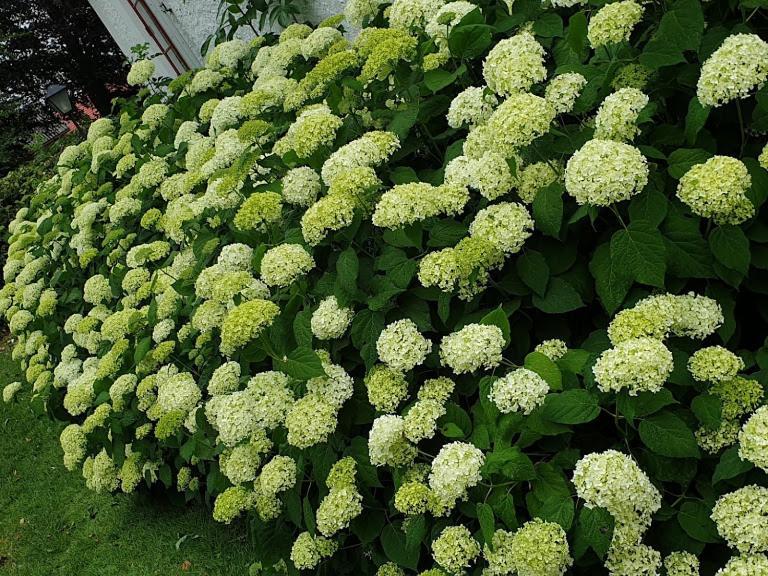Bo I Remmarloev Bed & Breakfast อีเอสเลิฟ ภายนอก รูปภาพ